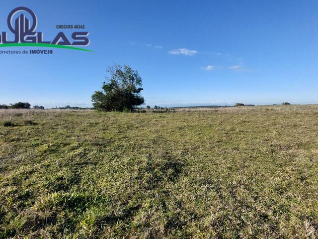 #1988 - CHÁCARAS ACIMA DE 2 HECTARES para Venda em Viamão - RS