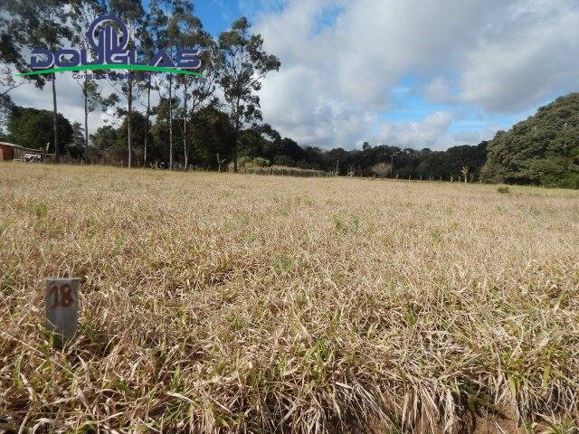 #2008 - TERRENOS FORA DE CONDOMÍNIO para Venda em Viamão - RS - 2