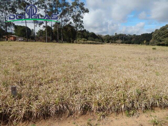 #2008 - TERRENOS FORA DE CONDOMÍNIO para Venda em Viamão - RS - 3