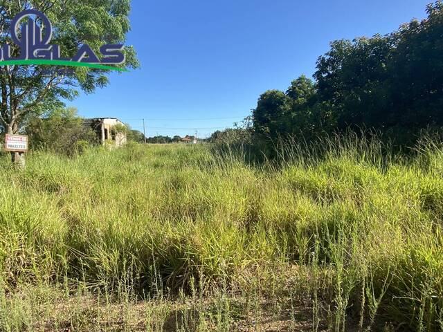 Venda em Boa Vista - Viamão