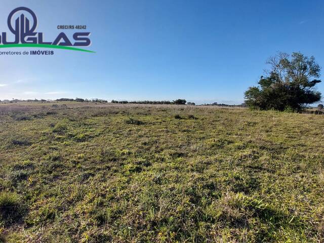 #2576 - SÍTIOS DE 5.000M² ATÉ 2 HECTARES para Venda em Viamão - RS - 2