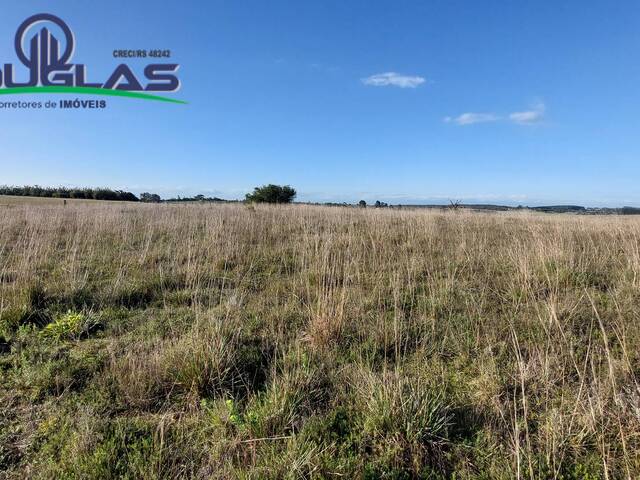 #2576 - SÍTIOS DE 5.000M² ATÉ 2 HECTARES para Venda em Viamão - RS - 3