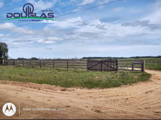 #2742 - CHÁCARAS ACIMA DE 2 HECTARES para Venda em Viamão - RS - 1