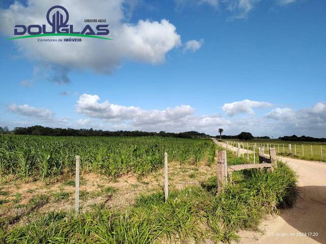 #2742 - CHÁCARAS ACIMA DE 2 HECTARES para Venda em Viamão - RS - 2