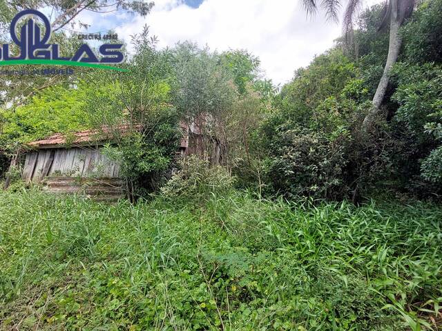 SÍTIOS DE 5.000M² ATÉ 2 HECTARES para Venda em Viamão - 2