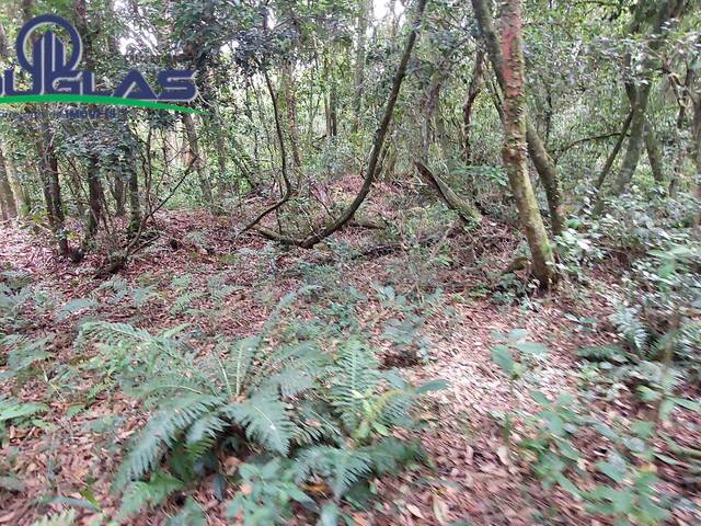 SÍTIOS DE 5.000M² ATÉ 2 HECTARES para Venda em Viamão - 3