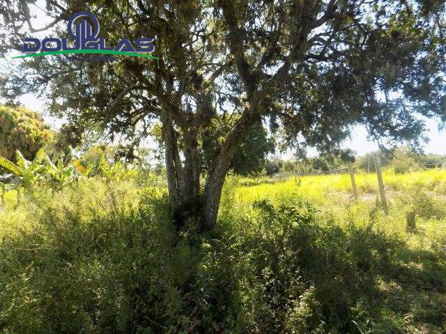 Terreno, 1050 m² - Foto 5