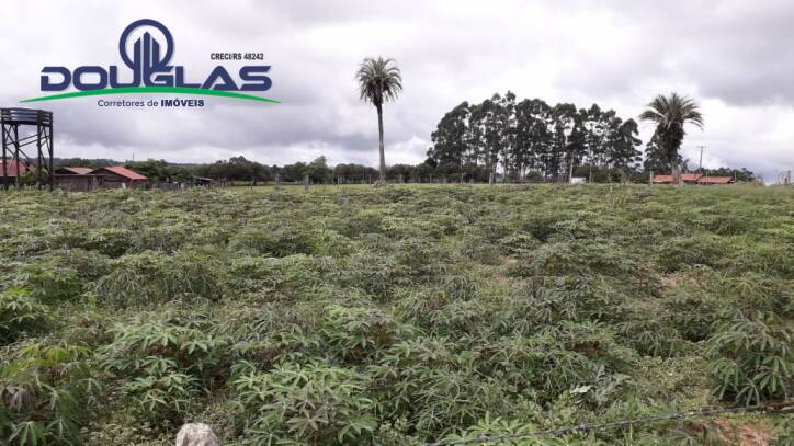 Terreno, 2 hectares - Foto 5