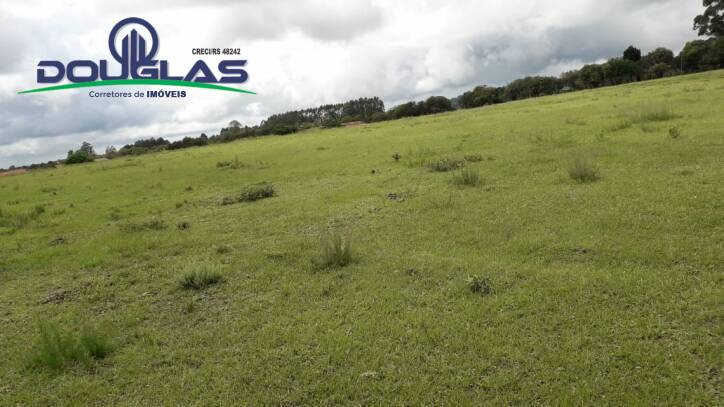 Terreno, 2 hectares - Foto 3