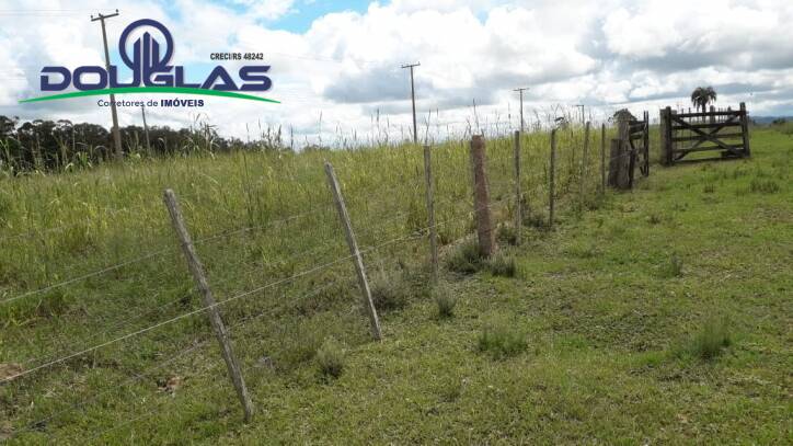 Terreno, 2 hectares - Foto 4