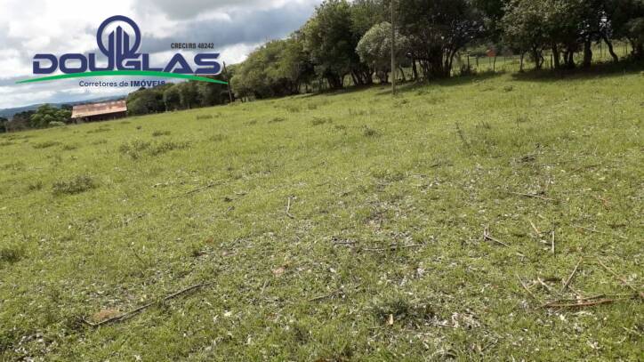 Terreno, 2 hectares - Foto 9