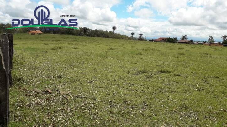 Terreno, 2 hectares - Foto 2