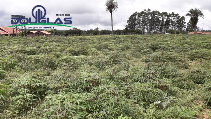 Terreno, 2 hectares - Foto 7