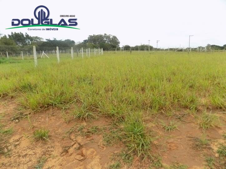 Terreno, 300 m² - Foto 3