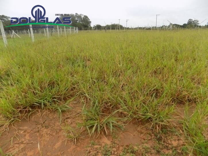 Terreno, 300 m² - Foto 4