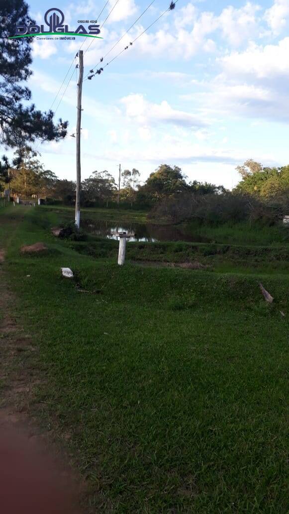 Sítio, 3 quartos, 2 hectares - Foto 19