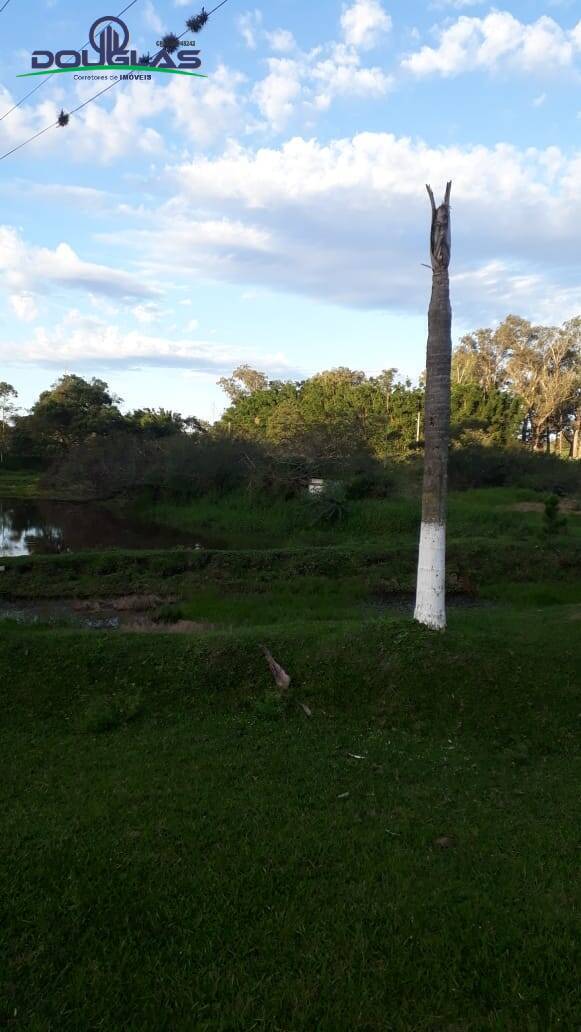 Sítio, 3 quartos, 2 hectares - Foto 18