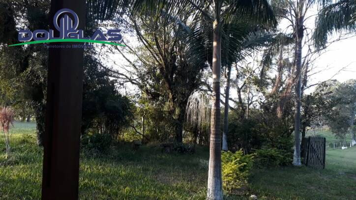 Sítio, 3 quartos, 2 hectares - Foto 27