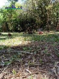 Terreno, 360 m² - Foto 8