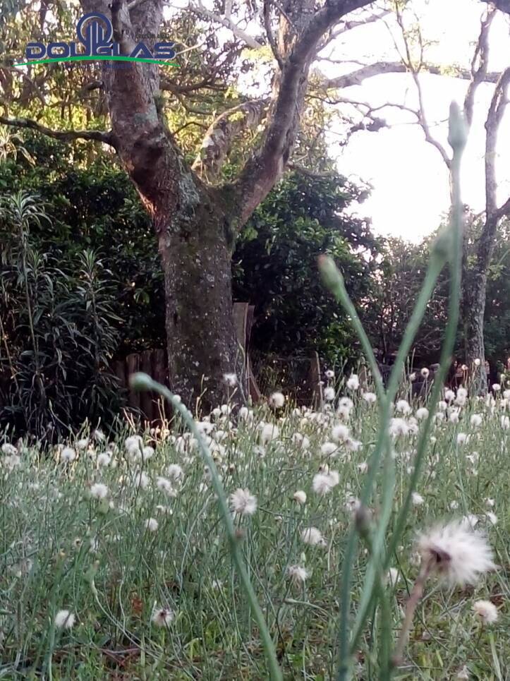 Terreno, 360 m² - Foto 1