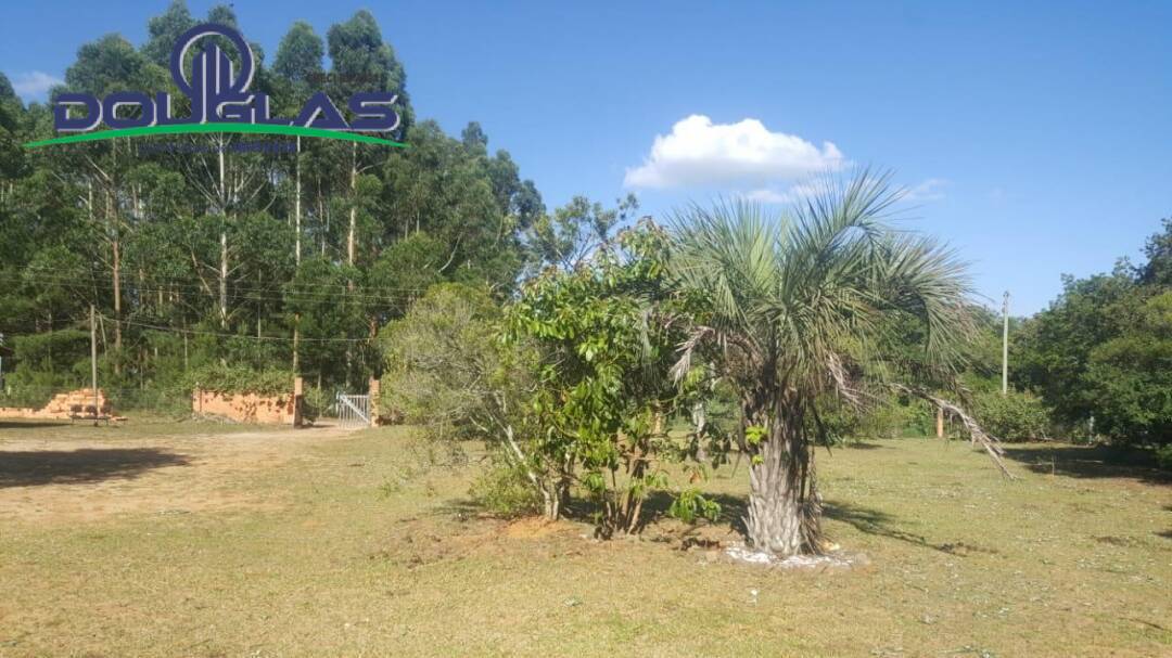 Chácara, 3 quartos, 3440 m² - Foto 4