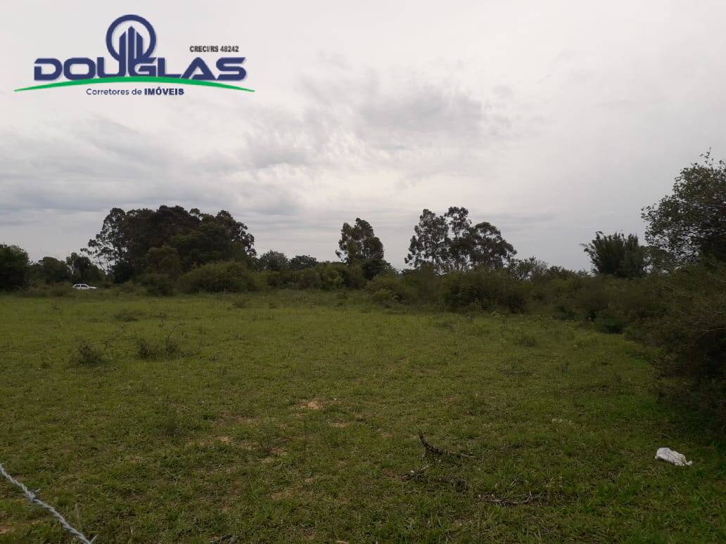 Terreno, 4000 m² - Foto 5