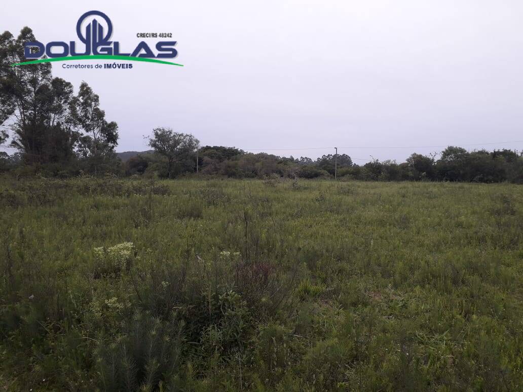 Terreno, 4000 m² - Foto 2