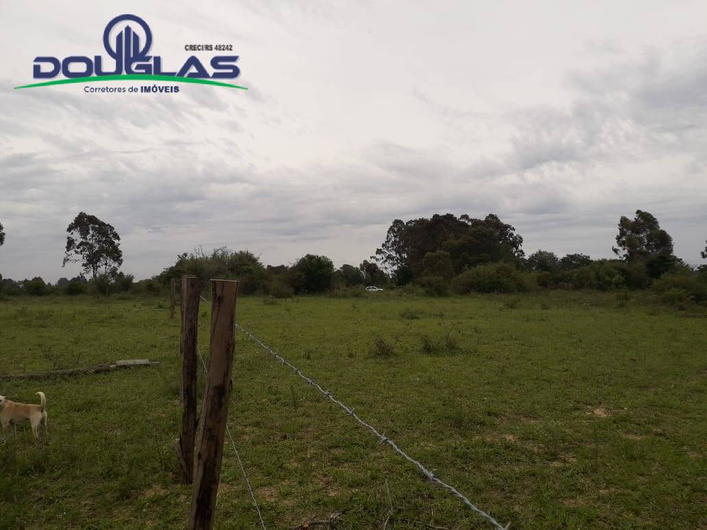 Terreno, 4000 m² - Foto 4