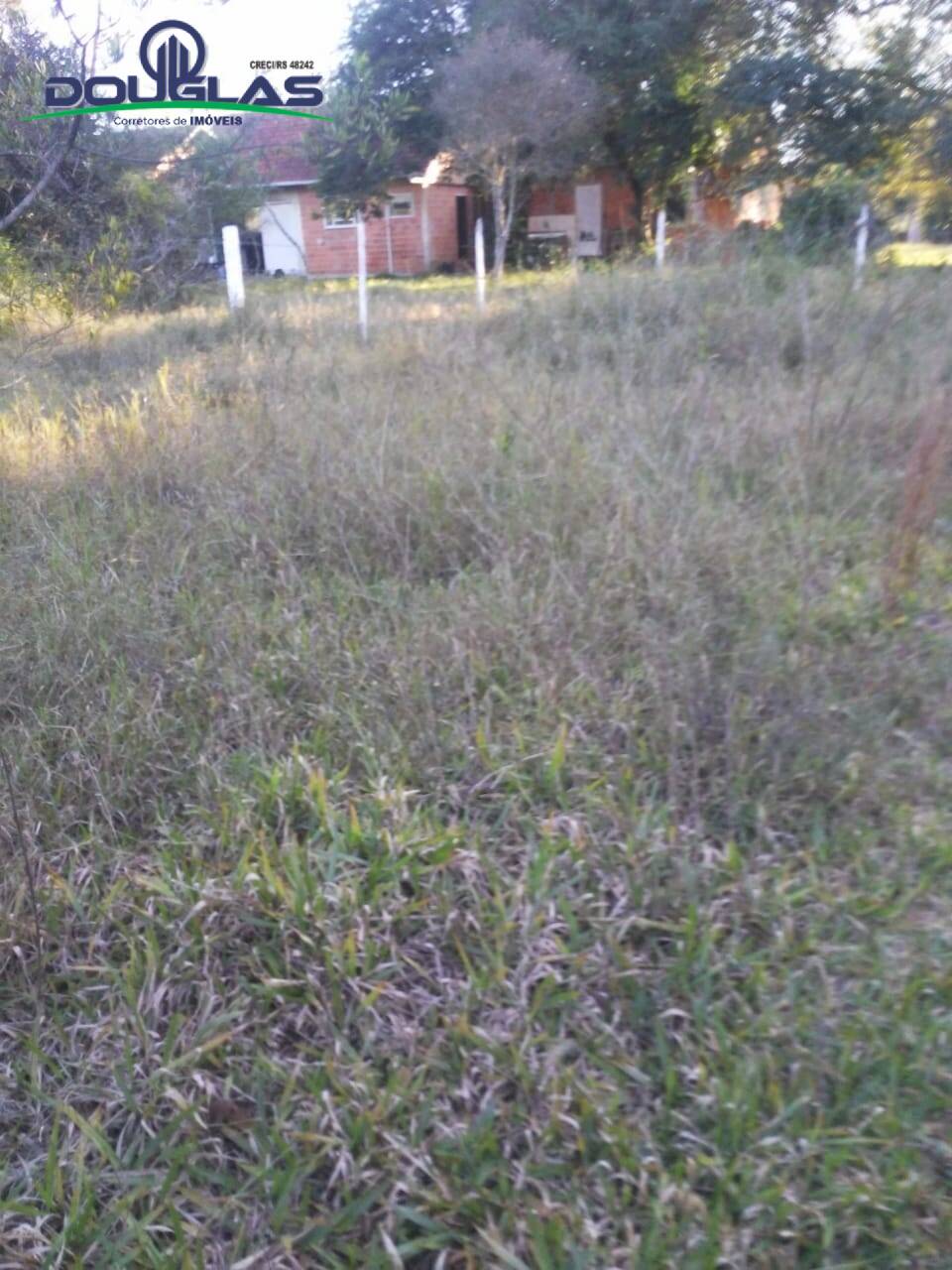 Sítio, 3 quartos, 7 hectares - Foto 11