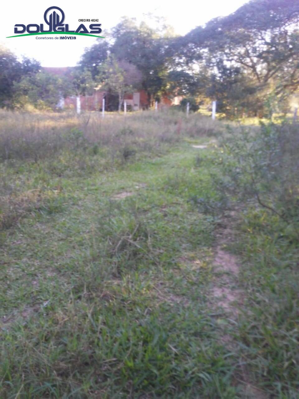 Sítio, 3 quartos, 7 hectares - Foto 5