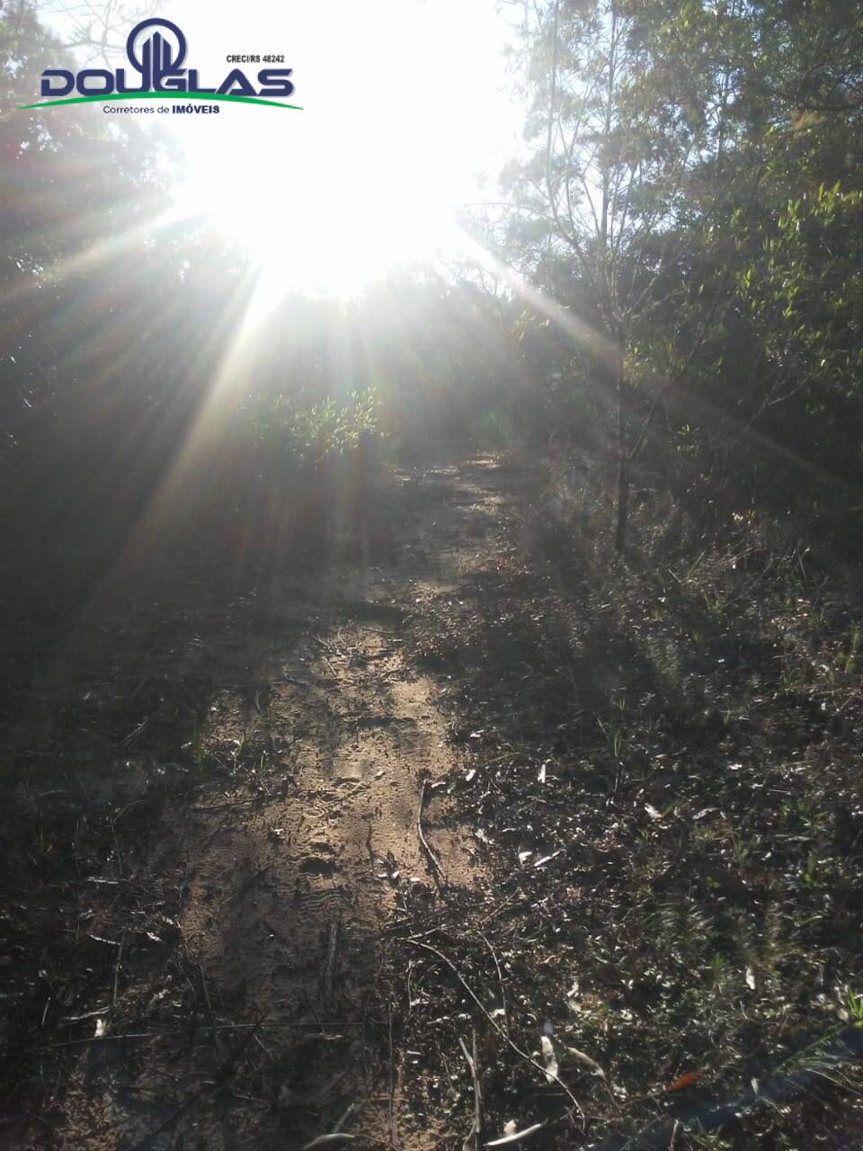 Sítio, 3 quartos, 7 hectares - Foto 18