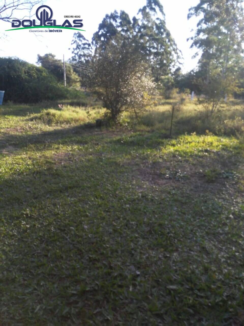 Sítio, 3 quartos, 7 hectares - Foto 19