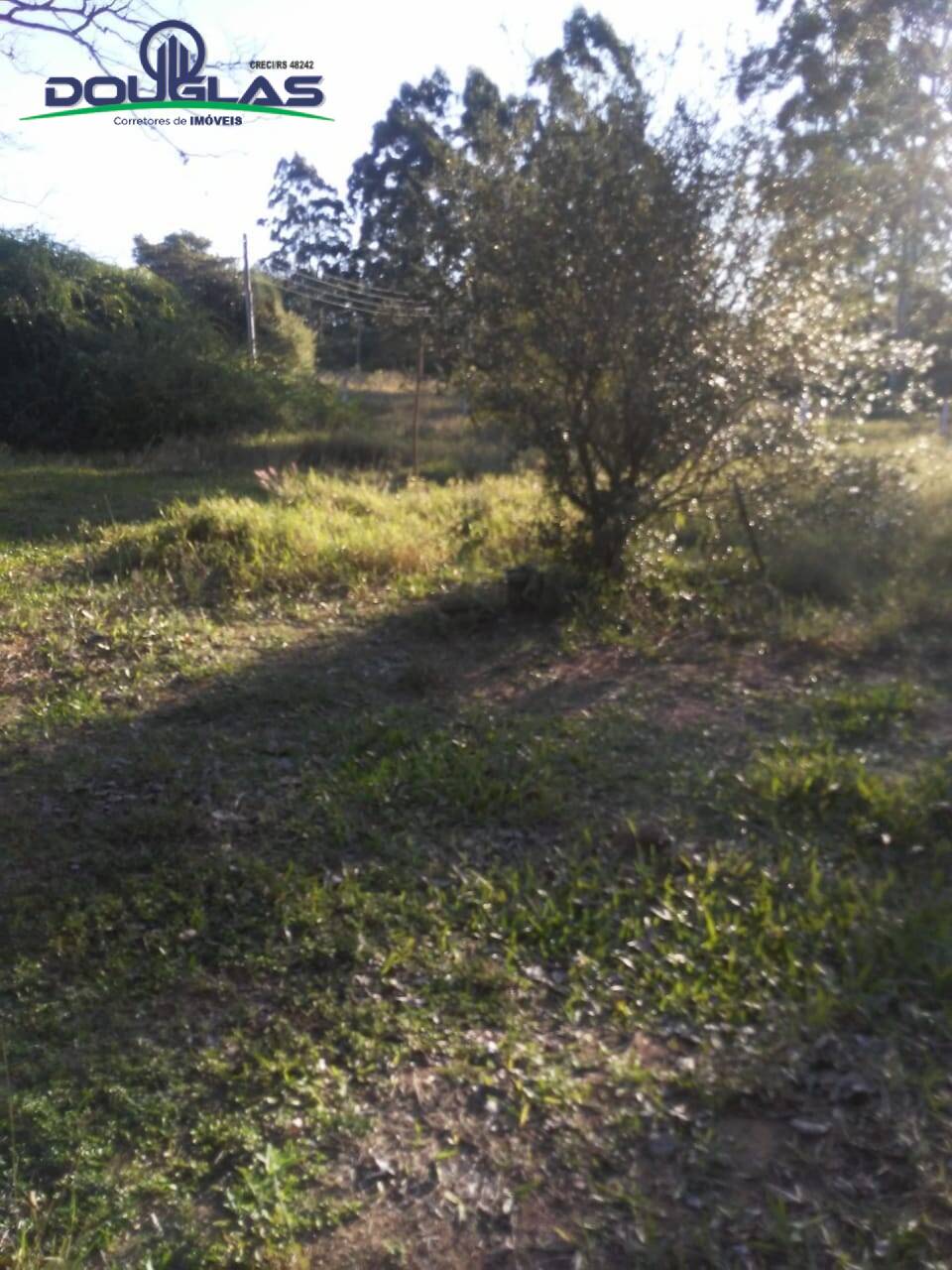 Sítio, 3 quartos, 7 hectares - Foto 22