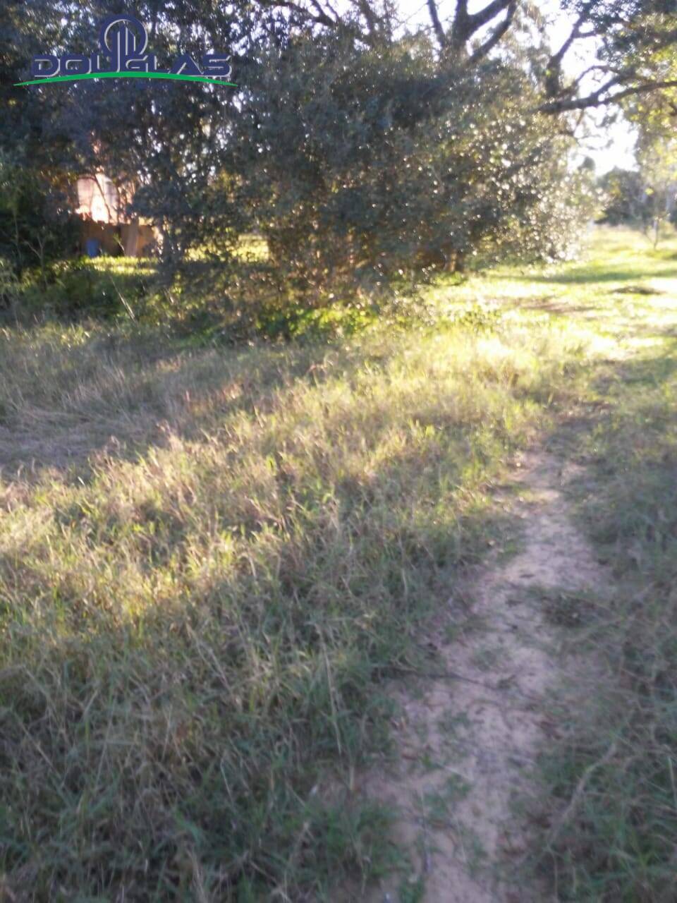 Sítio, 3 quartos, 7 hectares - Foto 16