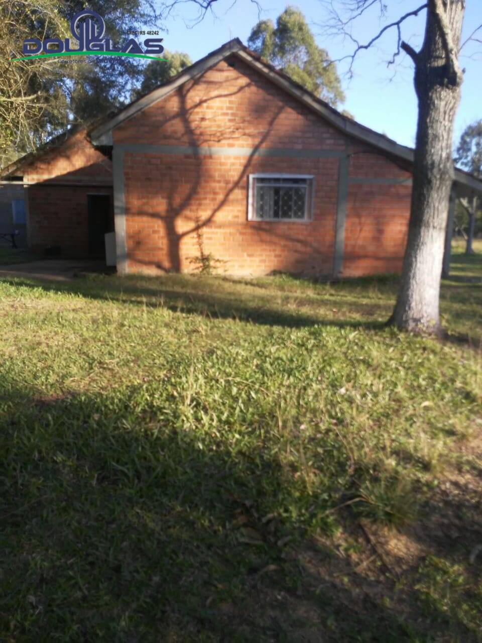 Sítio, 3 quartos, 7 hectares - Foto 15