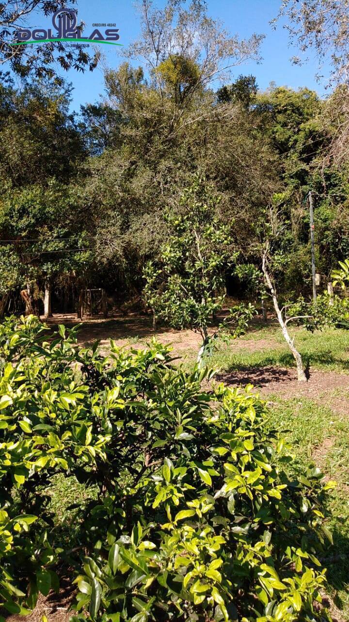 Sítio, 3 quartos, 2 hectares - Foto 13