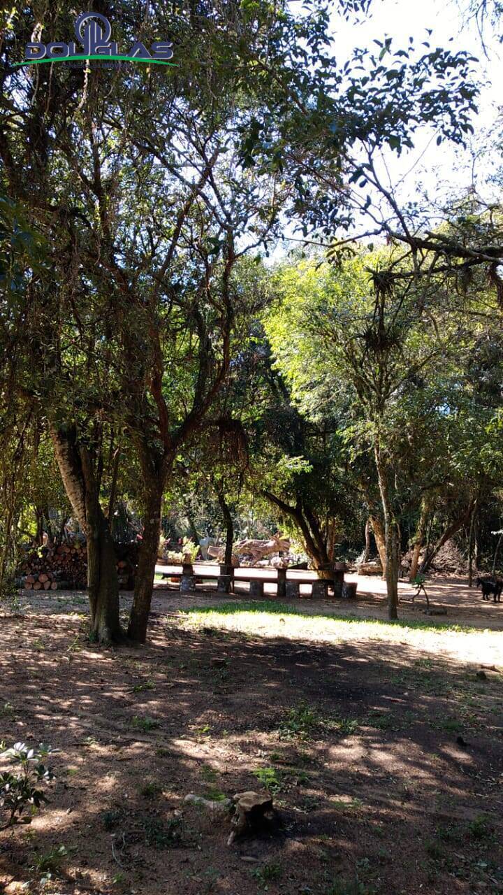 Sítio, 3 quartos, 2 hectares - Foto 12