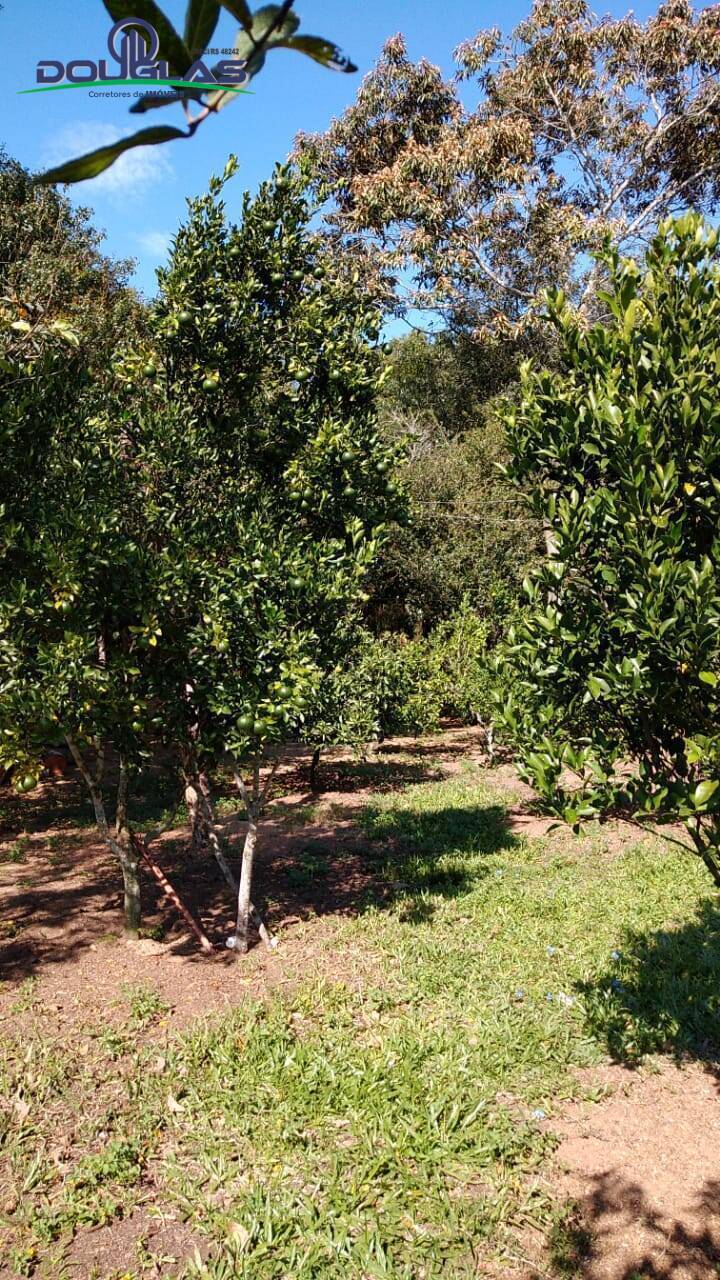 Sítio, 3 quartos, 2 hectares - Foto 14