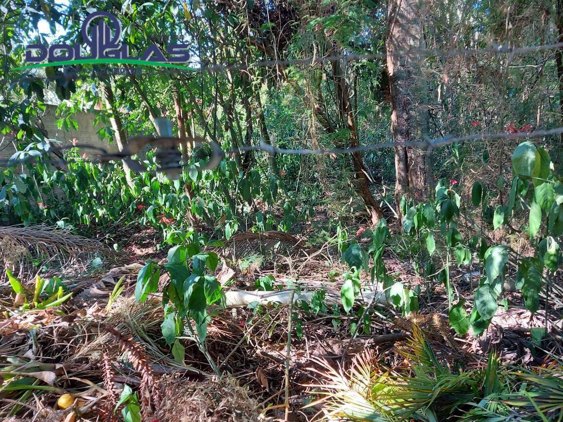 Terreno, 600 m² - Foto 2