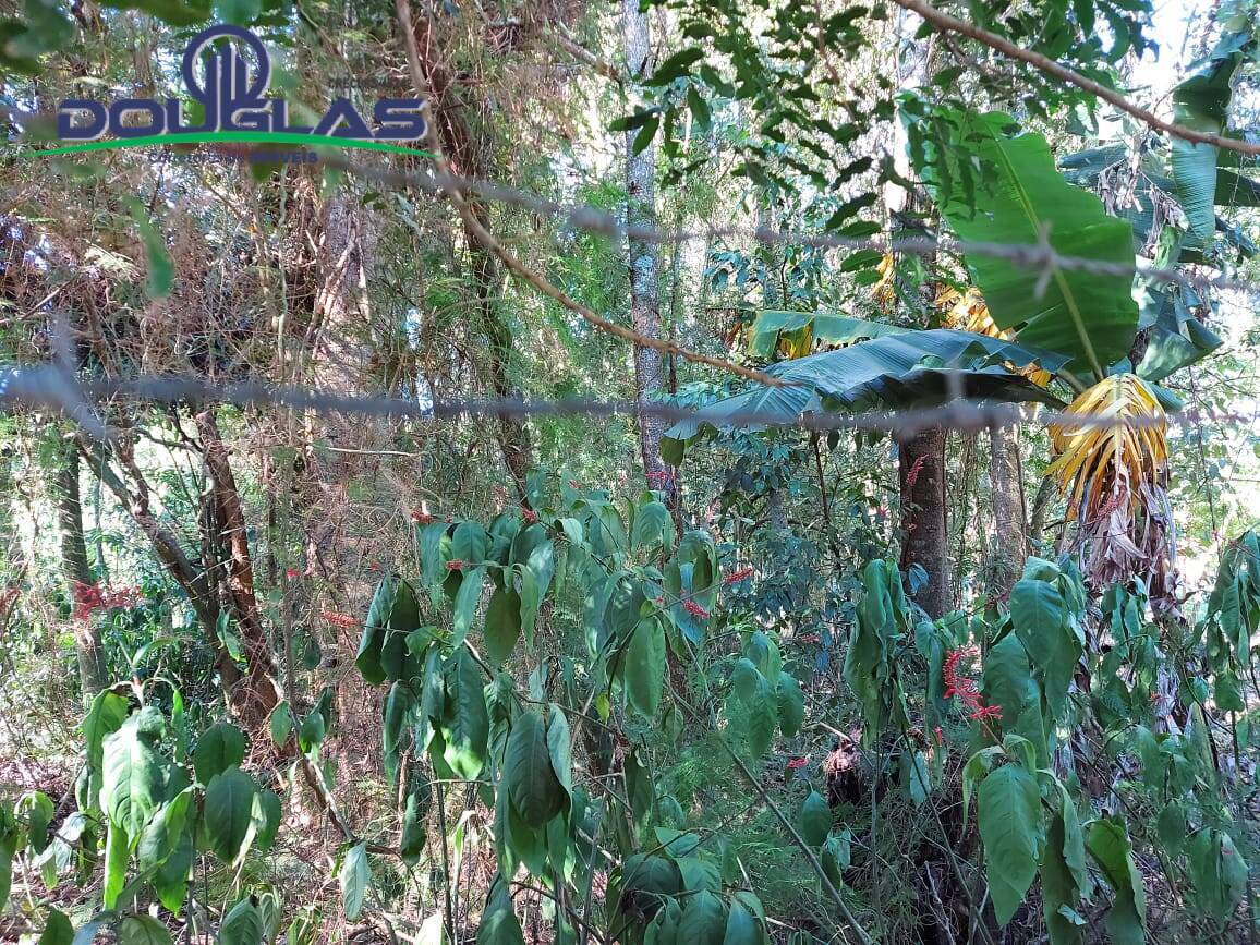 Terreno, 600 m² - Foto 5