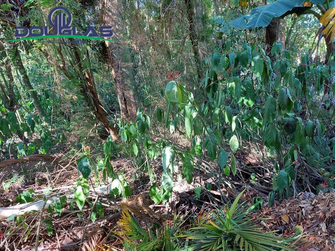 Terreno, 600 m² - Foto 6