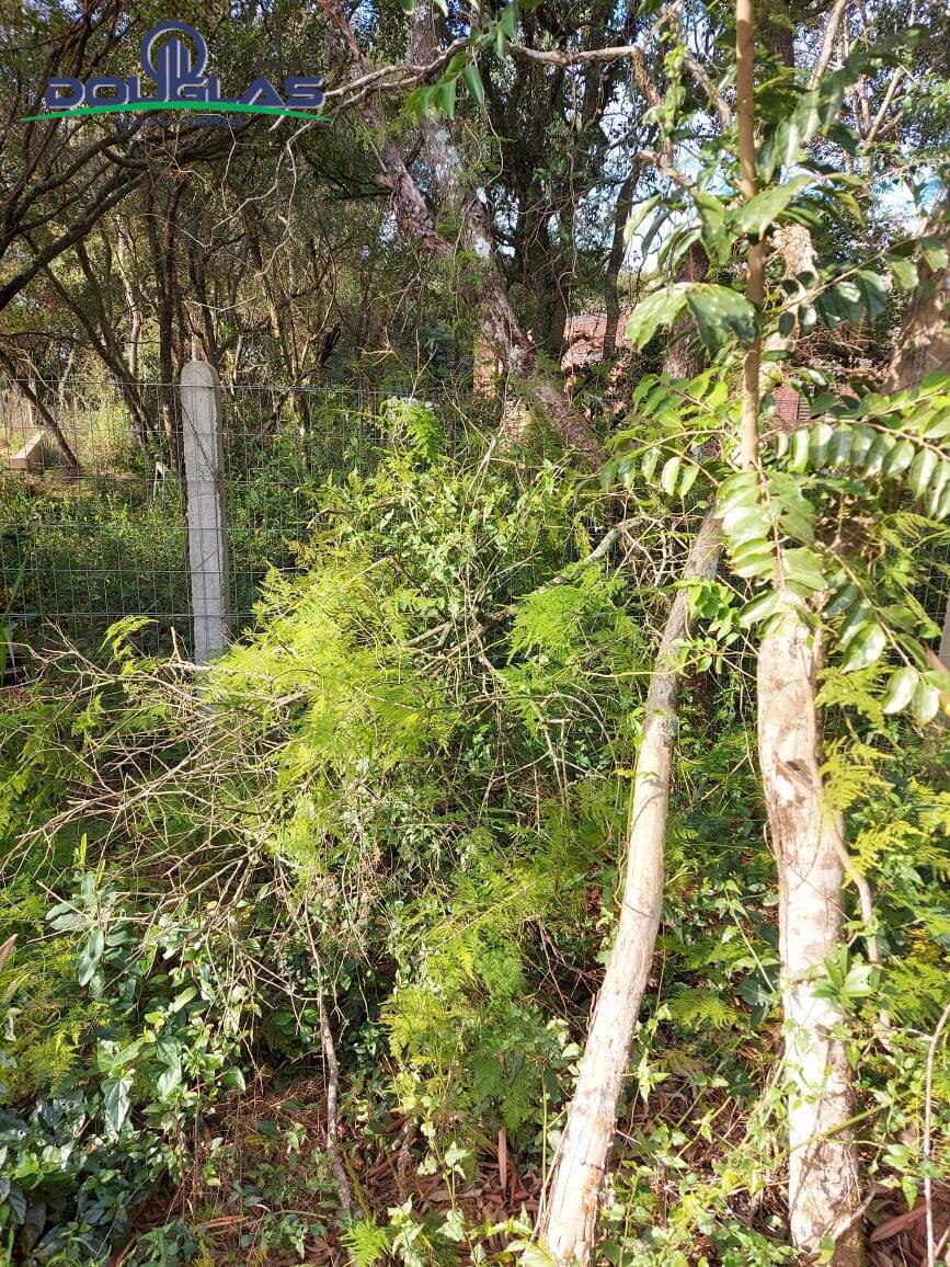 Terreno, 360 m² - Foto 1