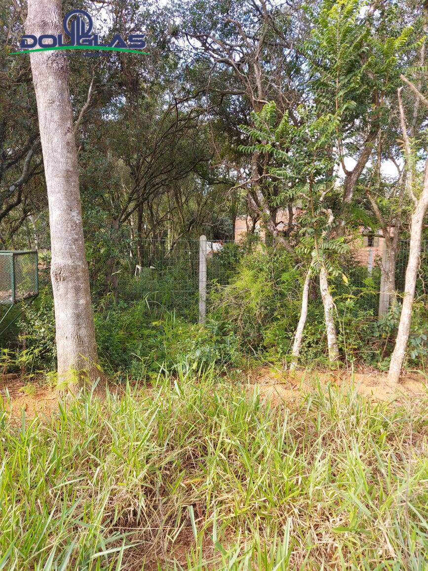 Terreno, 360 m² - Foto 3