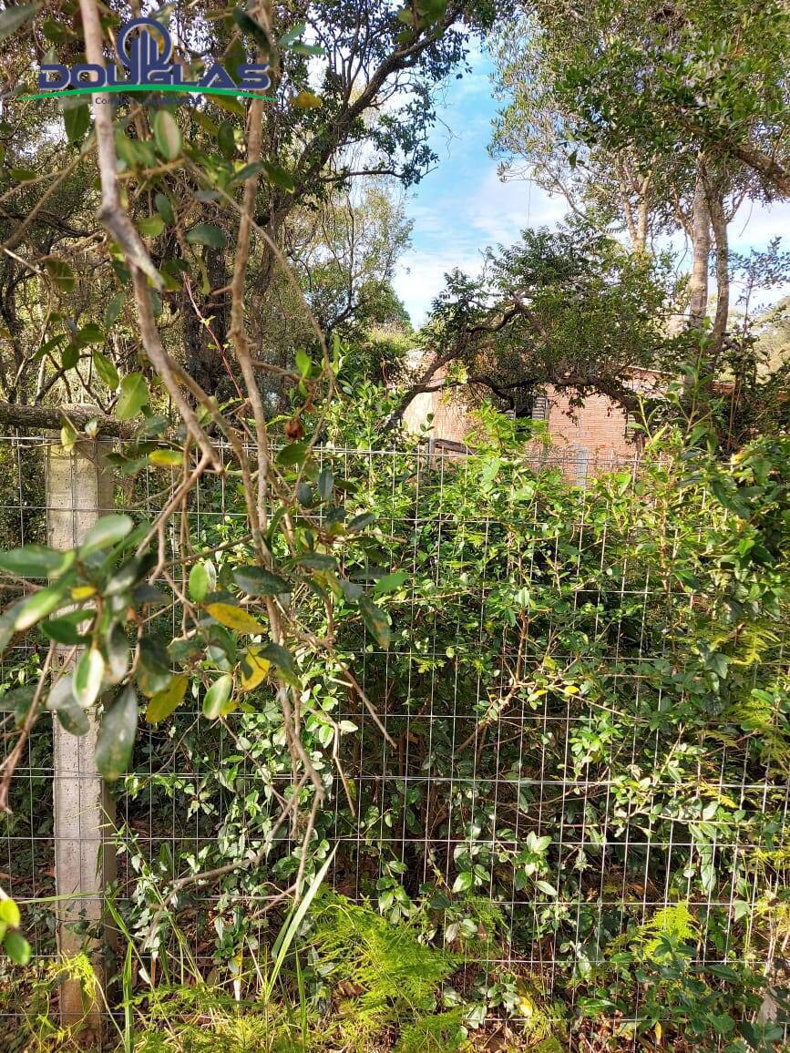 Terreno, 360 m² - Foto 4