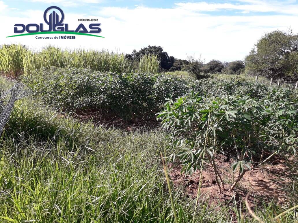 Sítio, 3 quartos, 3 hectares - Foto 23