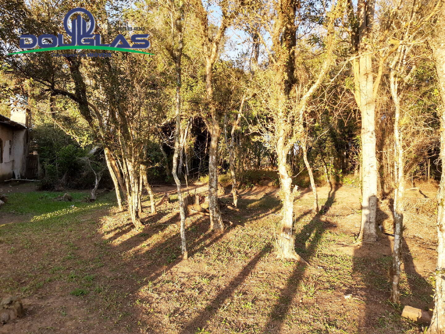 Casa, 3 quartos - Foto 19