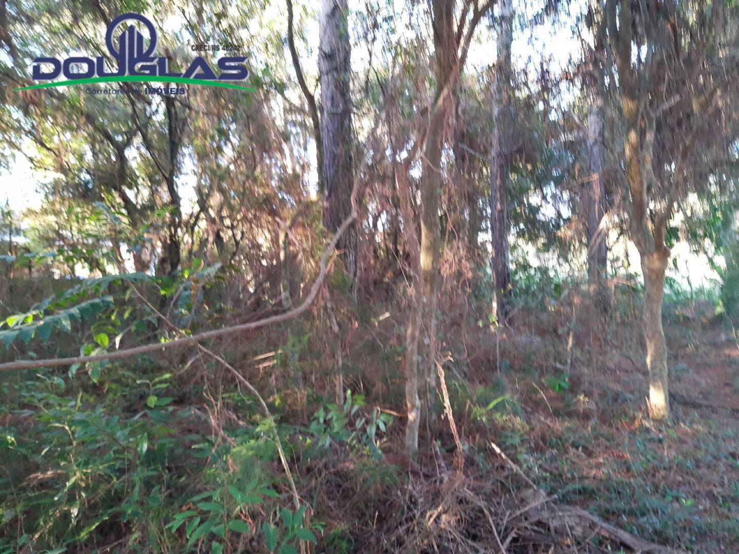 Casa, 3 quartos - Foto 21