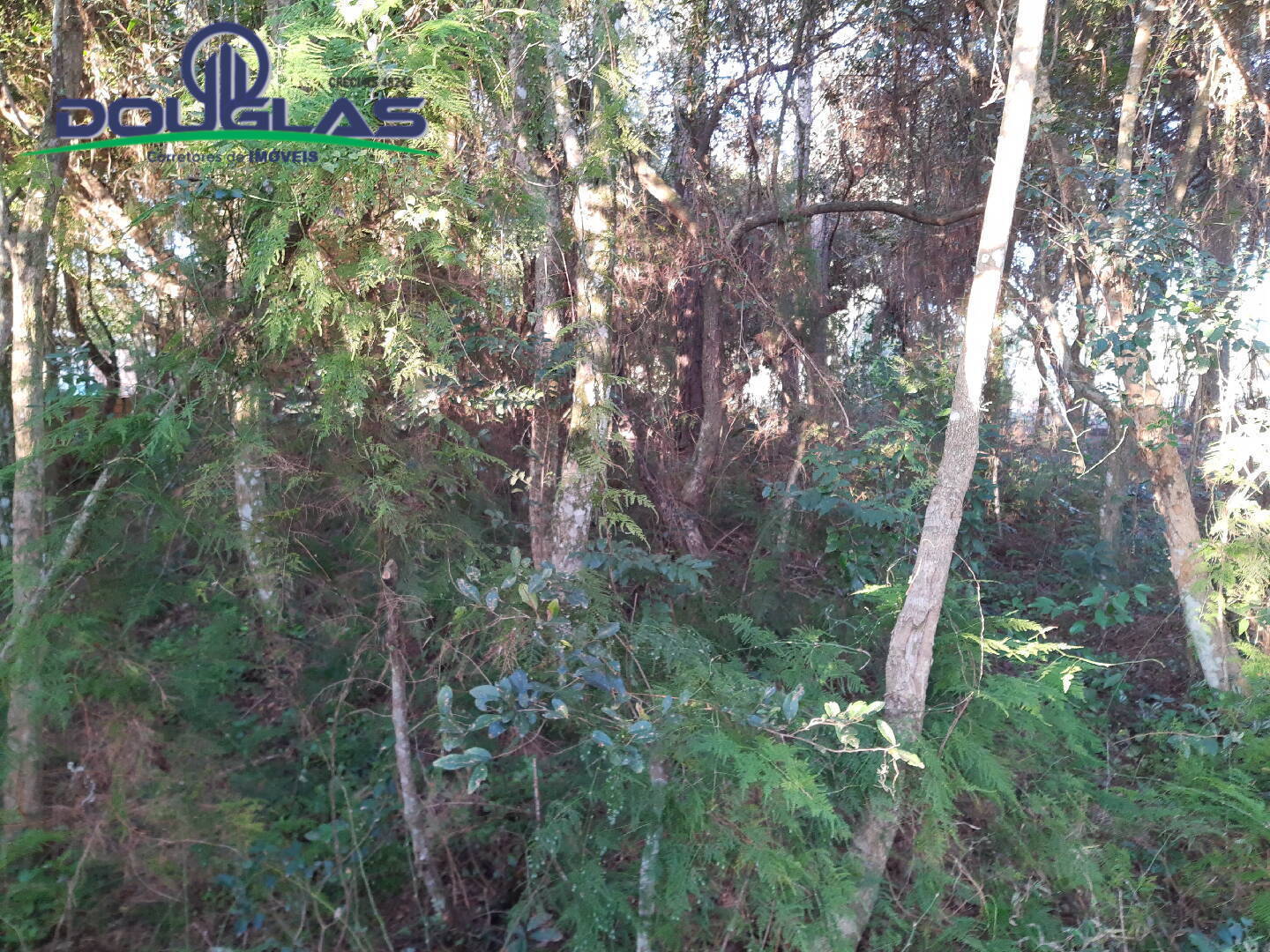 Casa, 3 quartos - Foto 23