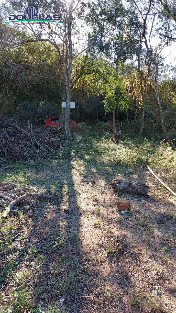 Terreno, 750 m² - Foto 7