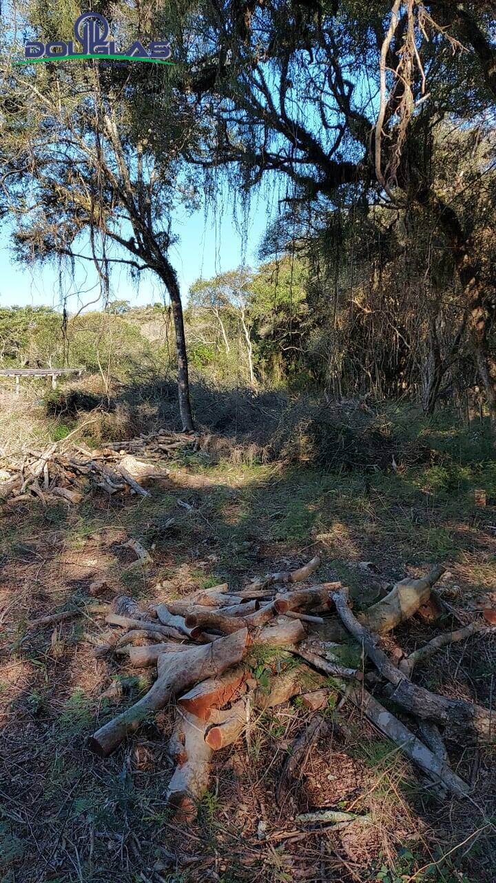 Terreno, 750 m² - Foto 5